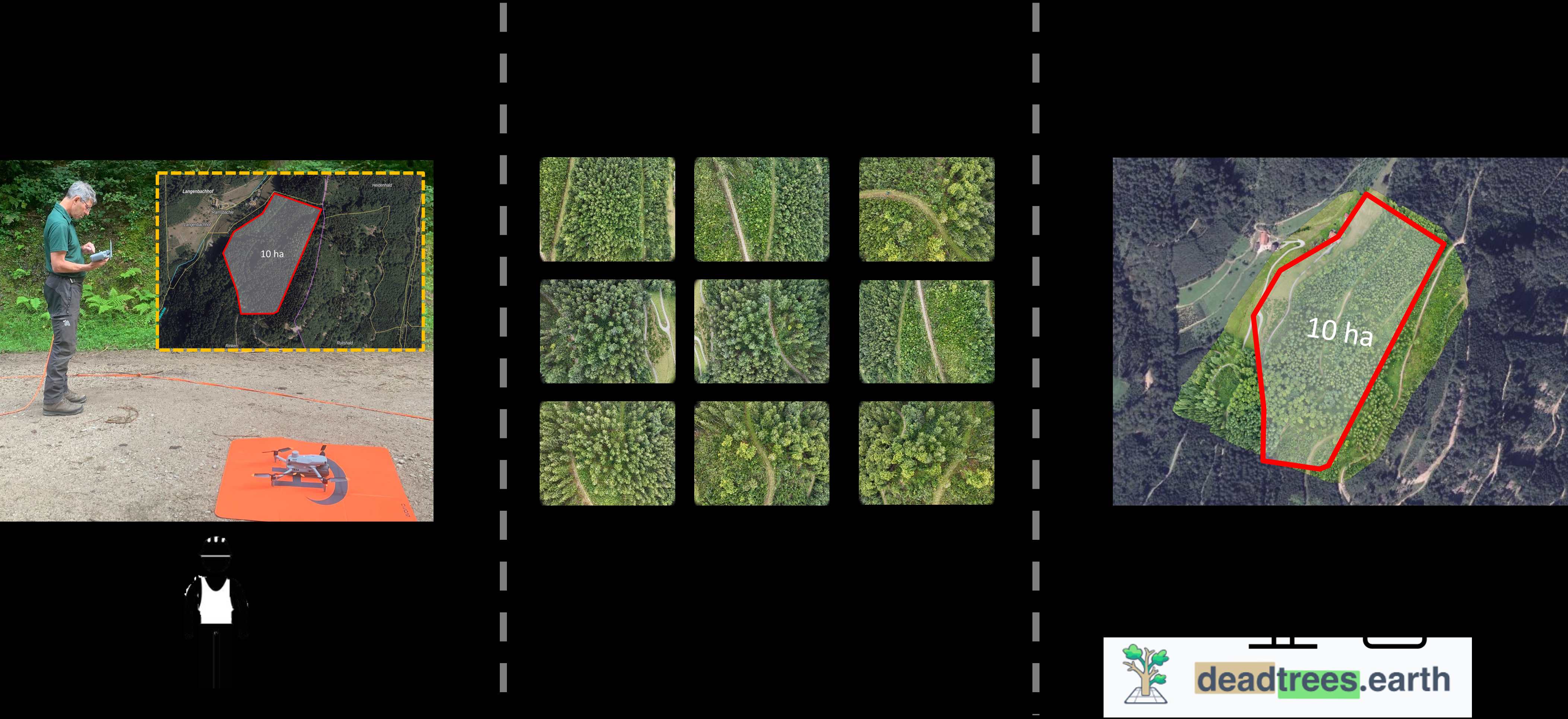 UAV Workflow Schema: Drohnenbefliegung, Bilderfassung und Datenverarbeitung auf deadtrees.earth