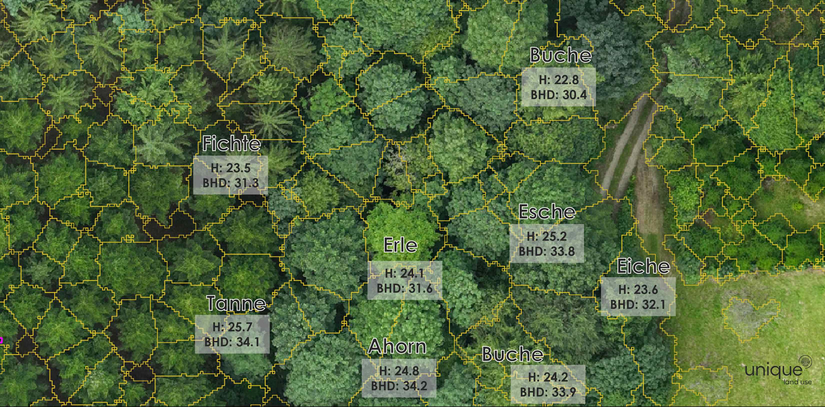 Automatisierte Baumdatenerfassung mit Höhen- und BHD-Messungen