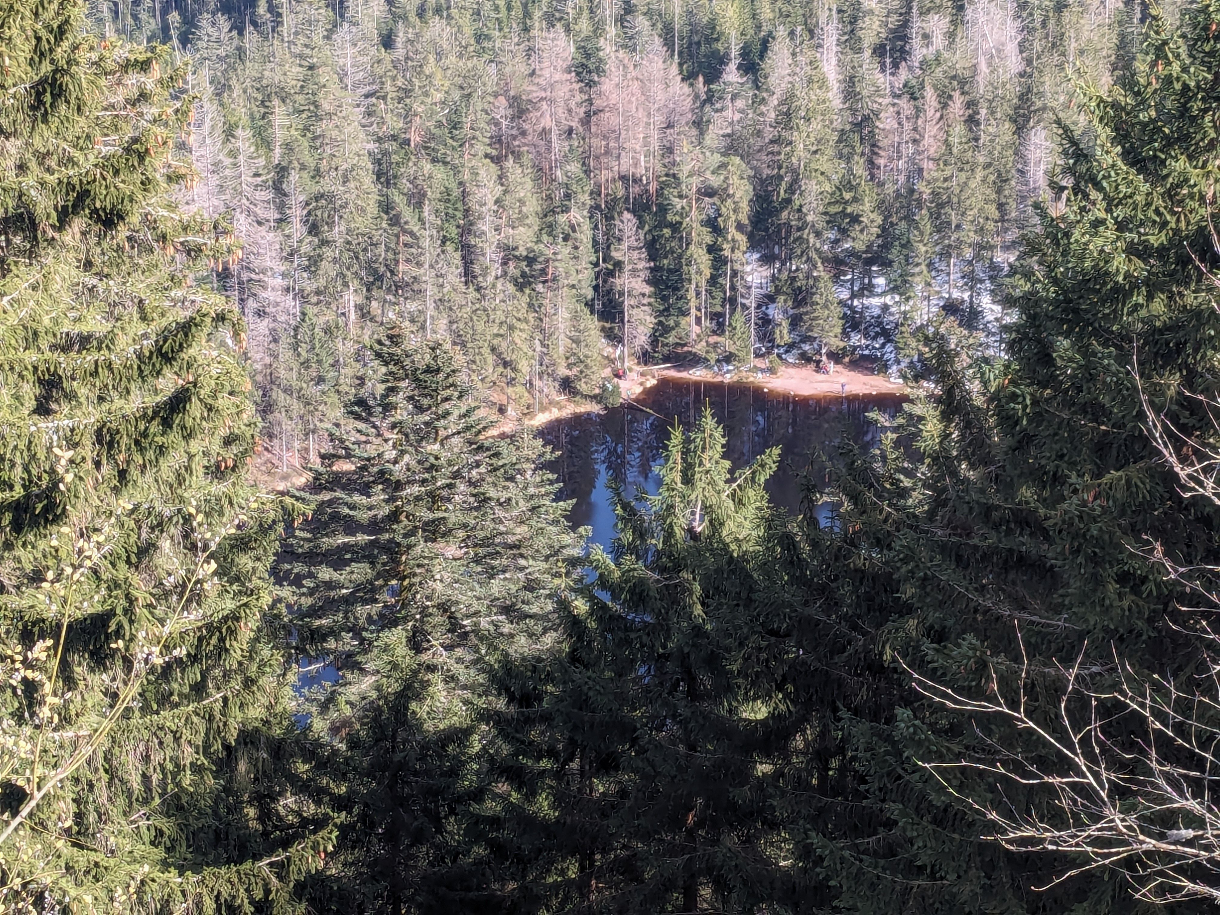 Auftaktmeeting am Nationalparkzentrum Ruhestein