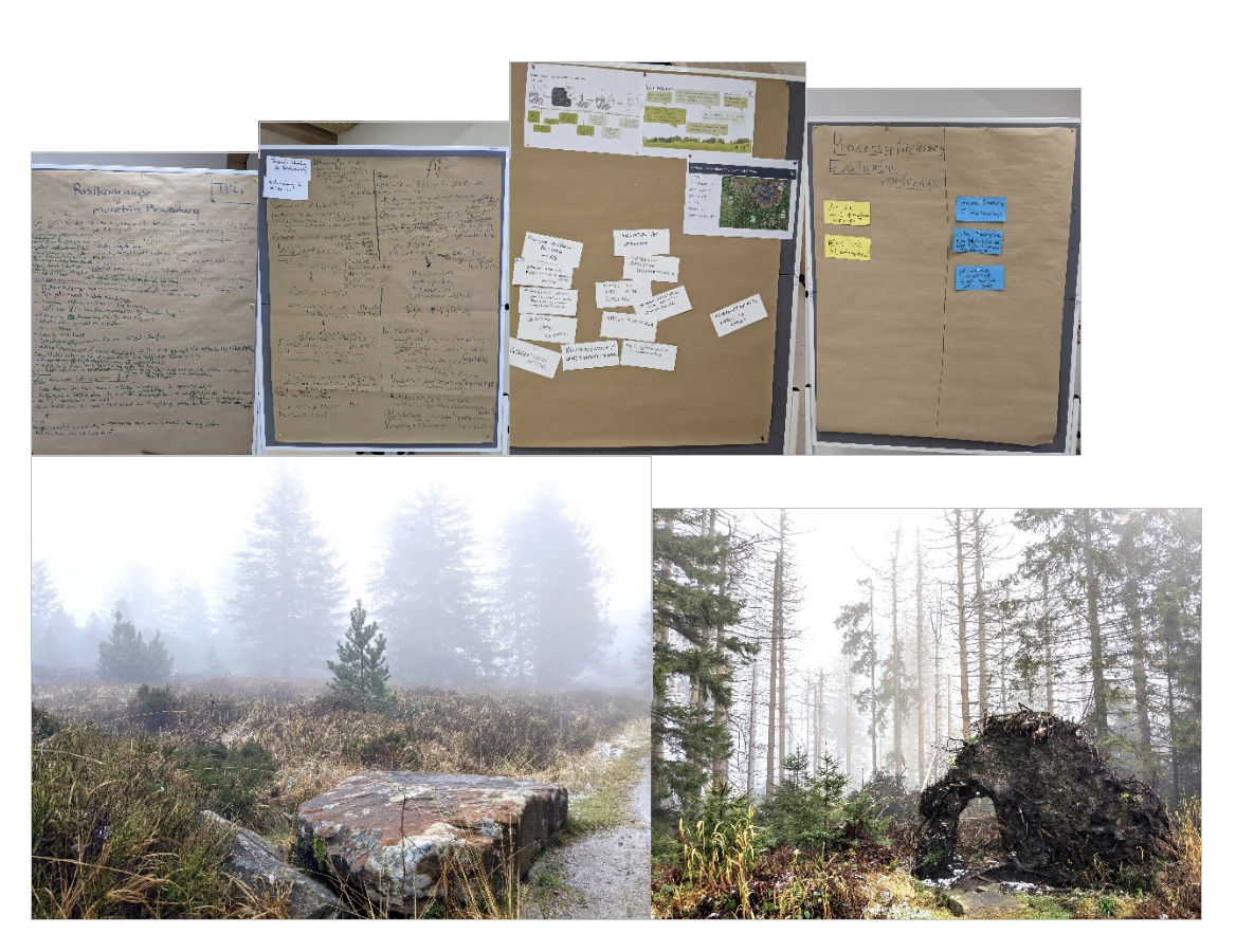 Zweites Projekttreffen am Nationalparkzentrum Ruhestein